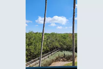 4801 Osprey Drive S #209, Saint Petersburg, FL 33711 - Photo 61