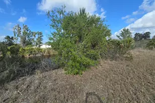 3813 NW 46th Ln, Cape Coral, FL 33993 - Photo 15