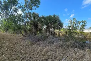 3813 NW 46th Ln, Cape Coral, FL 33993 - Photo 17