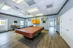 10022 Lily St N, Pinellas Park, FL 33782 - Photo 59