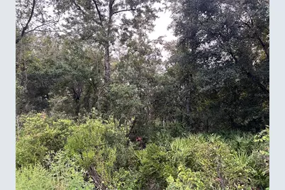 Tbd Gilbert Street, New Port Richey, FL 34654 - Photo 5