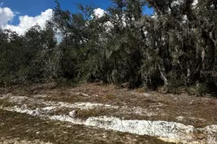 0 Allison Ave, Lake Wales, FL 33859 - Photo 1