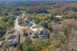 9911 Mendel Dr, New Port Richey, FL 34654 - Photo 63