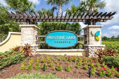 21807 Amelia Rose Way, Land O Lakes, FL 34637 - Photo 67