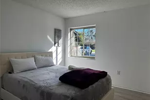 5144 Pine Tree Ln, Wesley Chapel, FL 33543 - Photo 9