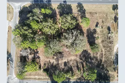 12441 SE 72nd Avenue, Belleview, FL 34420 - Photo 11