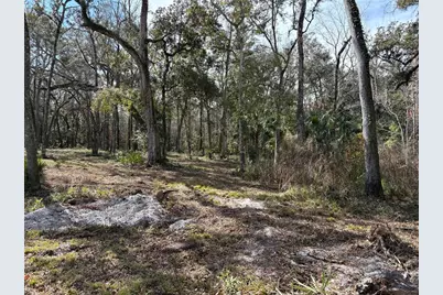 Lake Lindsey Road, Brooksville, FL 34601 - Photo 5