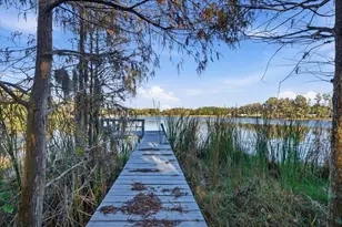 16921 Crawley Rd, Odessa, FL 33556 - Photo 17
