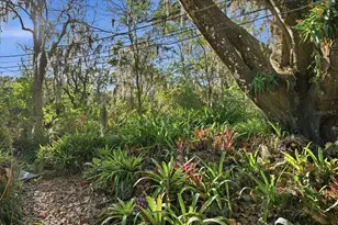 16921 Crawley Rd, Odessa, FL 33556 - Photo 9