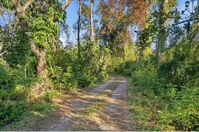 16921 Crawley Road, Odessa, FL 33556 - Photo 7