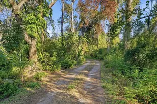 16921 Crawley Rd, Odessa, FL 33556 - Photo 7