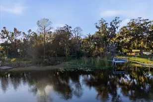 16921 Crawley Rd, Odessa, FL 33556 - Photo 3