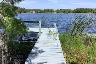 16921 Crawley Rd, Odessa, FL 33556 - Photo 33