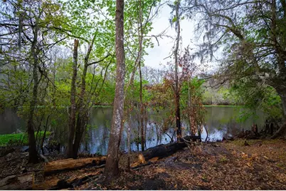 7822 Cr 647, Bushnell, FL 33513 - Photo 19