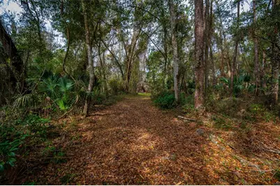 7822 Cr 647, Bushnell, FL 33513 - Photo 3