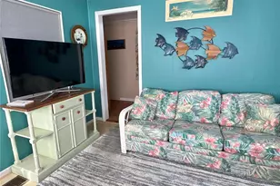 7167 Mt Hawthorne Rd NE, Saint Petersburg, FL 33702 - Photo 5