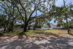 3104 W Coachman Ave, Tampa, FL 33611 - Photo 1