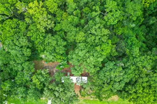 13026 SW Williston Rd, Micanopy, FL 32667 - Photo 25