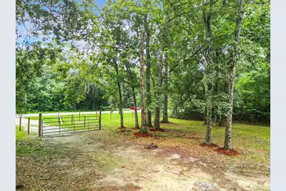 13026 SW Williston Road, Micanopy, FL 32667 - Photo 7
