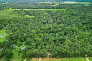 13026 SW Williston Rd, Micanopy, FL 32667 - Photo 29