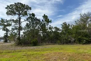 1649 Redfin Dr, Poinciana, FL 34759 - Photo 5