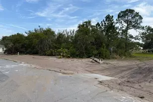 1649 Redfin Dr, Poinciana, FL 34759 - Photo 3