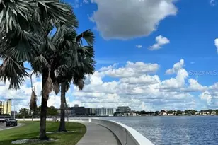 5231 Bayshore Blvd, Tampa, FL 33611 - Photo 39