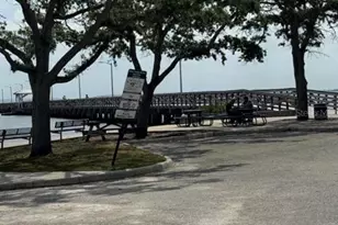 5231 Bayshore Blvd, Tampa, FL 33611 - Photo 35