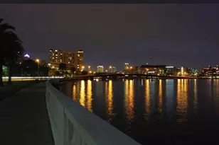 5231 Bayshore Blvd, Tampa, FL 33611 - Photo 29