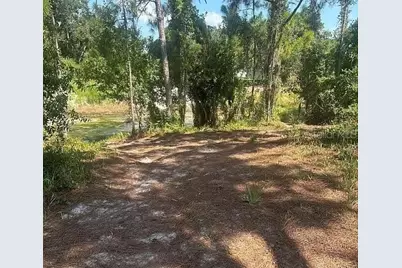 371 E Canal Way NE, Lake Placid, FL 33852 - Photo 3