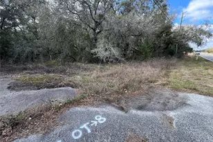 Unknown Hays Rd, Hudson, FL 34669 - Photo 1