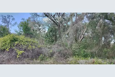 204 Adelphi Street, Inverness, FL 34452 - Photo 7