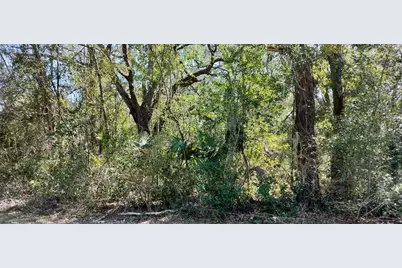 517 S Savary Avenue, Inverness, FL 34453 - Photo 11