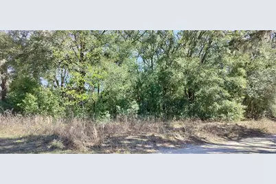 517 S Savary Avenue, Inverness, FL 34453 - Photo 9