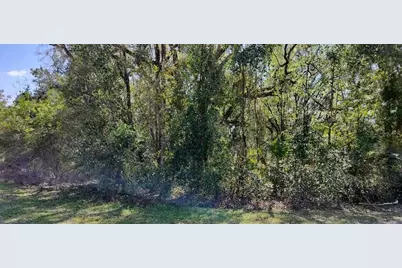 517 S Savary Avenue, Inverness, FL 34453 - Photo 5