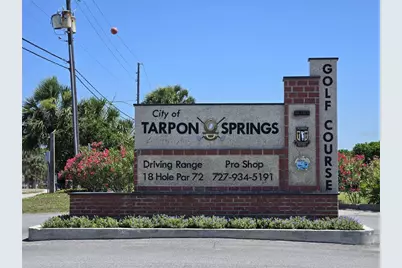 19 Drury Lane, Tarpon Springs, FL 34689 - Photo 55