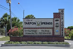 19 Drury Ln, Tarpon Springs, FL 34689 - Photo 57