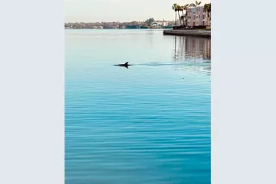 7700 Sun Island Drive S #608, South Pasadena, FL 33707 - Photo 7