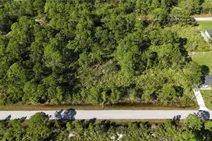 541 Embracer St NW, Lake Placid, FL 33852 - Photo 1