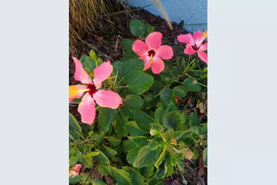 2235 20th St S, Saint Petersburg, FL 33712 - Photo 3