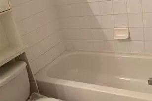 12403 Hibiscus Oak Pl, Tampa, FL 33612 - Photo 33