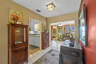 17119 Rainbow Terrace, Odessa, FL 33556 - Photo 13