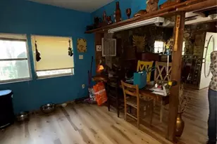 17233 Dalberg Dr, Spring Hill, FL 34610 - Photo 5