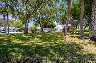 163 Dolphin Dr E, Oldsmar, FL 34677 - Photo 21