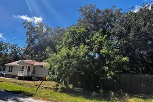 902 Estelle Ave, Brandon, FL 33511 - Photo 3
