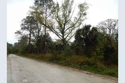 0 Robin Trail, Kissimmee, FL 34747 - Photo 3