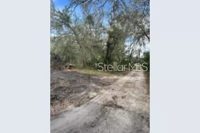 11616 Bullfrog Creek Road, Gibsonton, FL 33534 - Photo 7