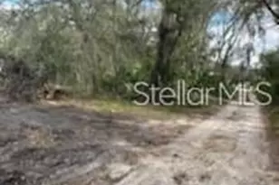 11616 Bullfrog Creek Rd, Gibsonton, FL 33534 - Photo 7