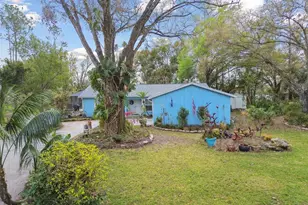 22002 Darley Pl, Land O Lakes, FL 34639 - Photo 59