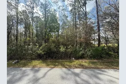 Green Willow Run #LOT 759, Wesley Chapel, FL 33544 - Photo 3